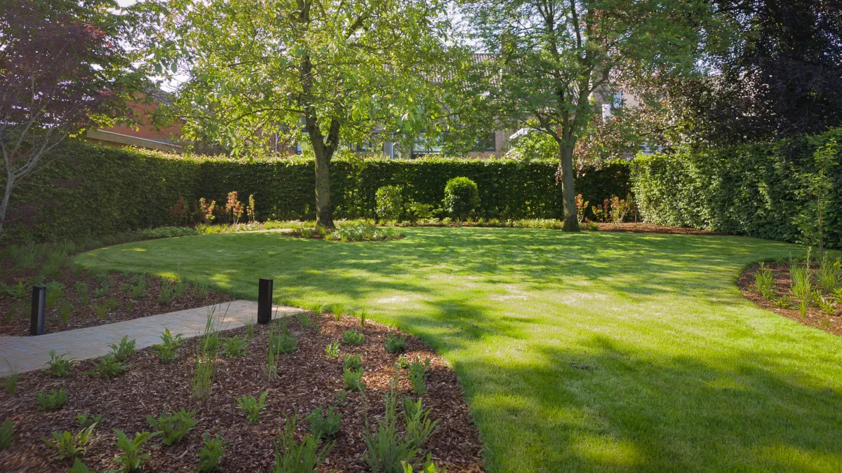 Modern tuinontwerp met gazon omringd door plantvakken en twee volwassen bomen achteraan, gerealiseerd in Sint-Niklaas