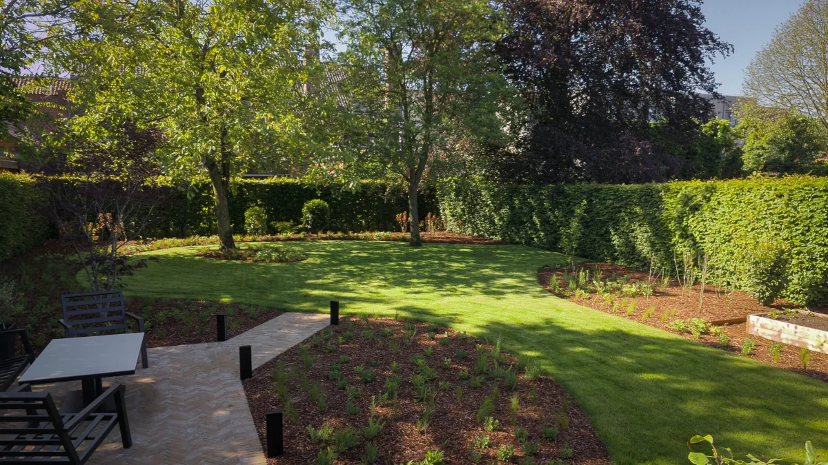 Moderne tuin met twee zones, een schaduwzone achteraan de tuin met volwassen bomen en vooraan een prairietuin met terras, gerealiseerd in Sint-Niklaas